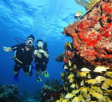 Scuba divers underwater during a Cancun dive trip